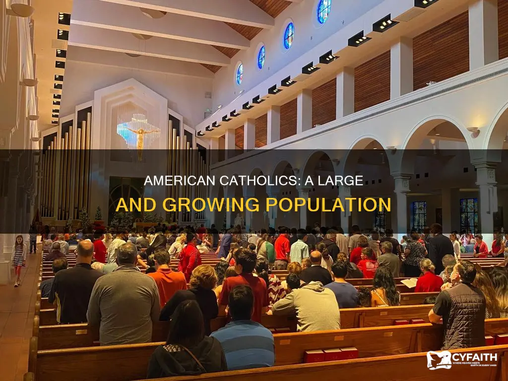how many american catholics are there