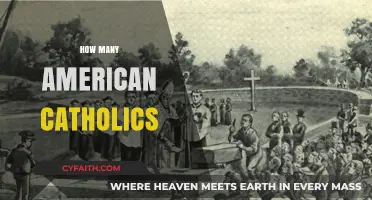 Exploring the Size and Influence of American Catholics Today
