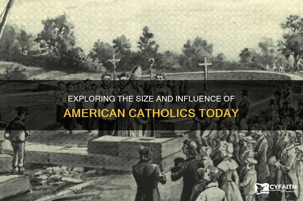 how many american catholics