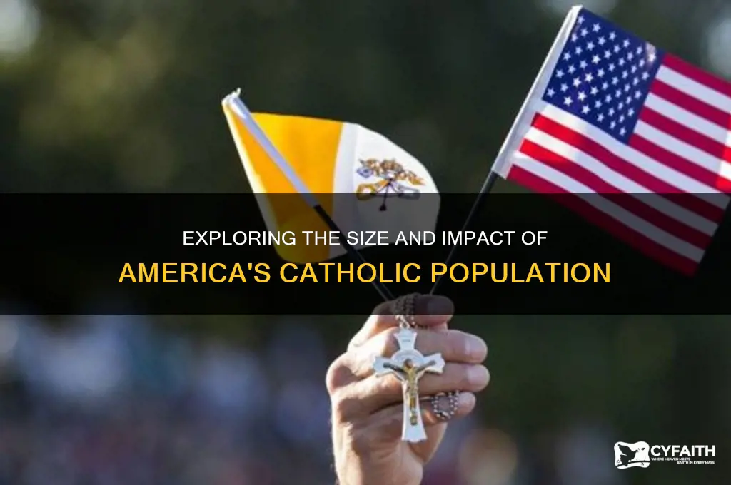 how many americans are catholics