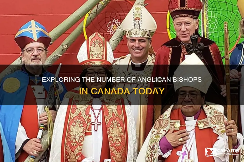 how many anglican bishops are there in canada