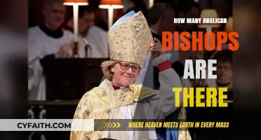 Exploring the Global Anglican Church: How Many Bishops Exist Today?