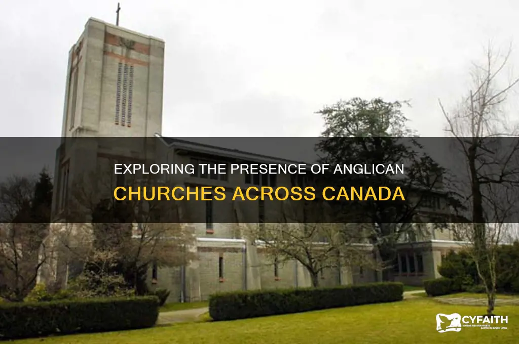 how many anglican churches in canada