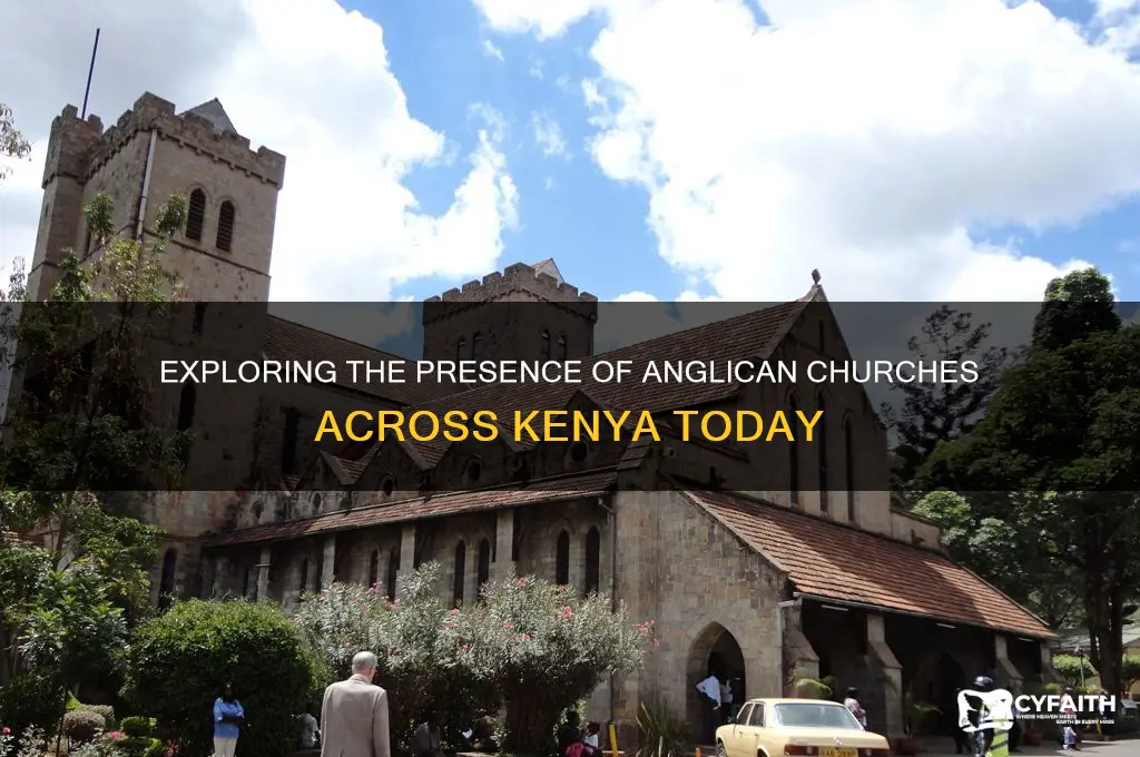 how many anglican churches in kenya