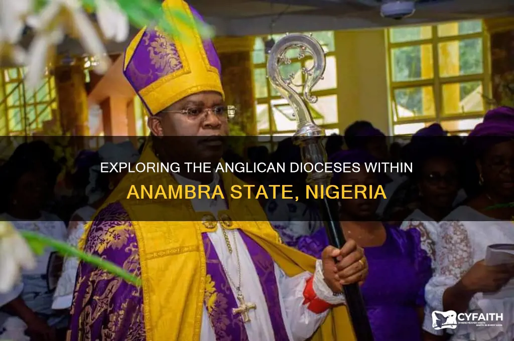 how many anglican diocese in anambra state