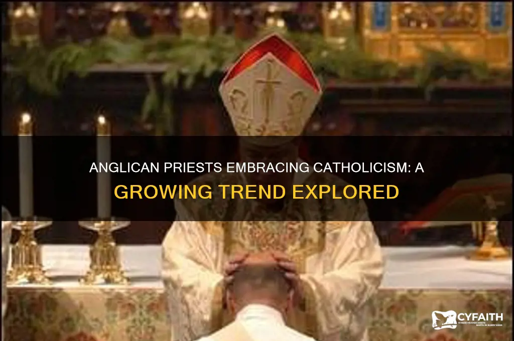 how many anglican priests have become catholic