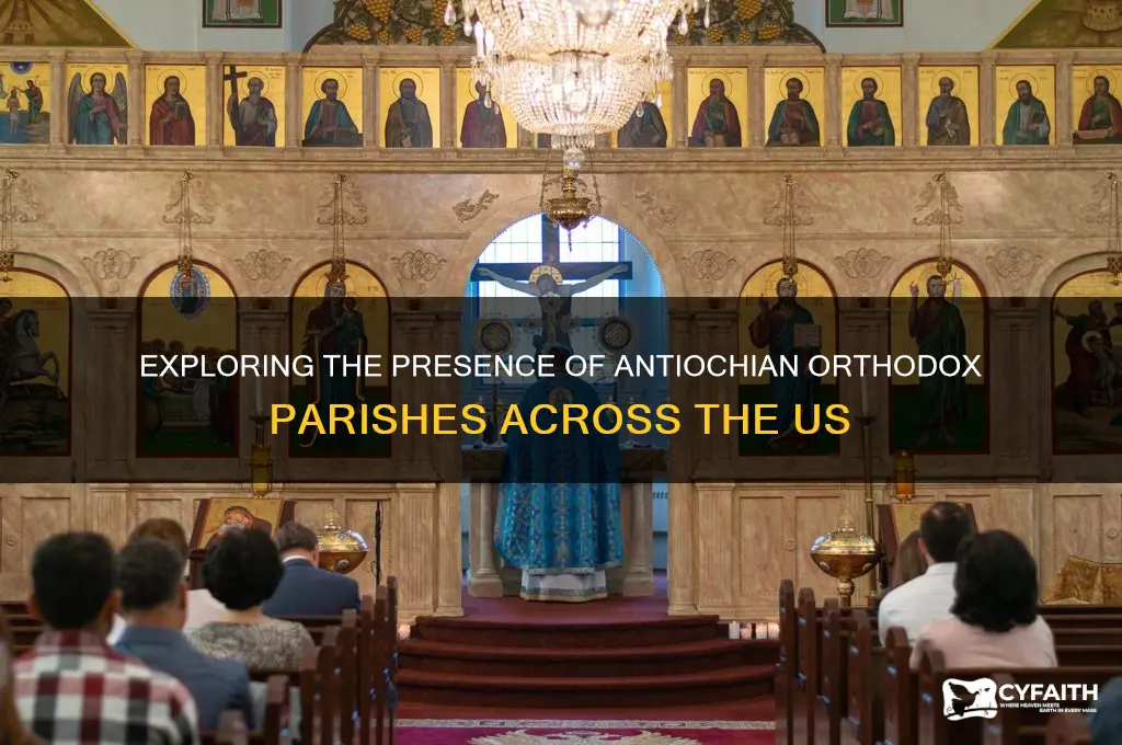 how many antiochian orthodox parishes in the us