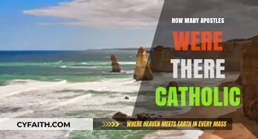 The Apostles: How Many Catholic Disciples?