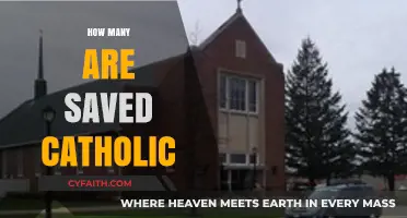 Understanding Catholic Salvation: How Many Are Saved in the Faith?