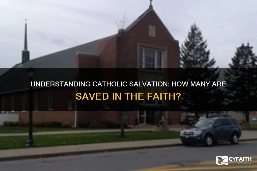 how many are saved catholic
