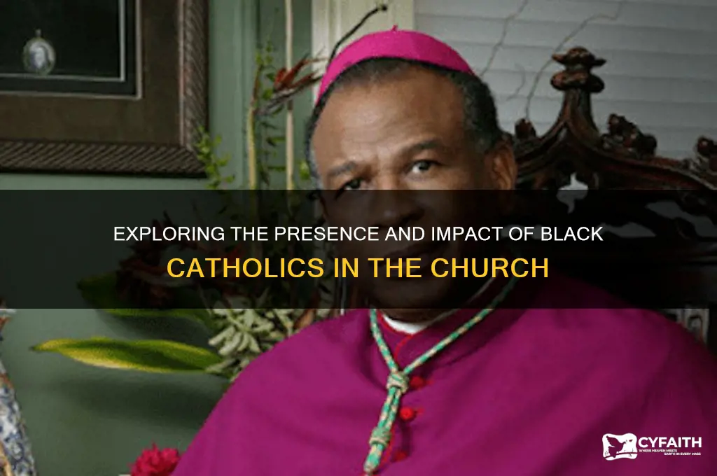 how many balck catholics