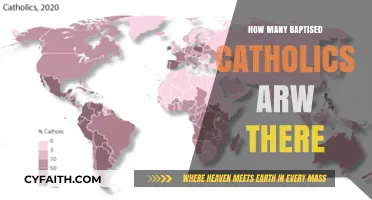 Baptised Catholics: How Many Are There Globally?