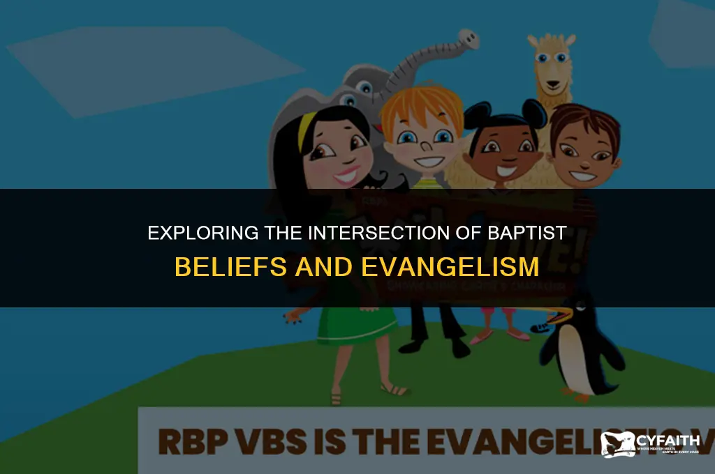 how many baptist are evangelist
