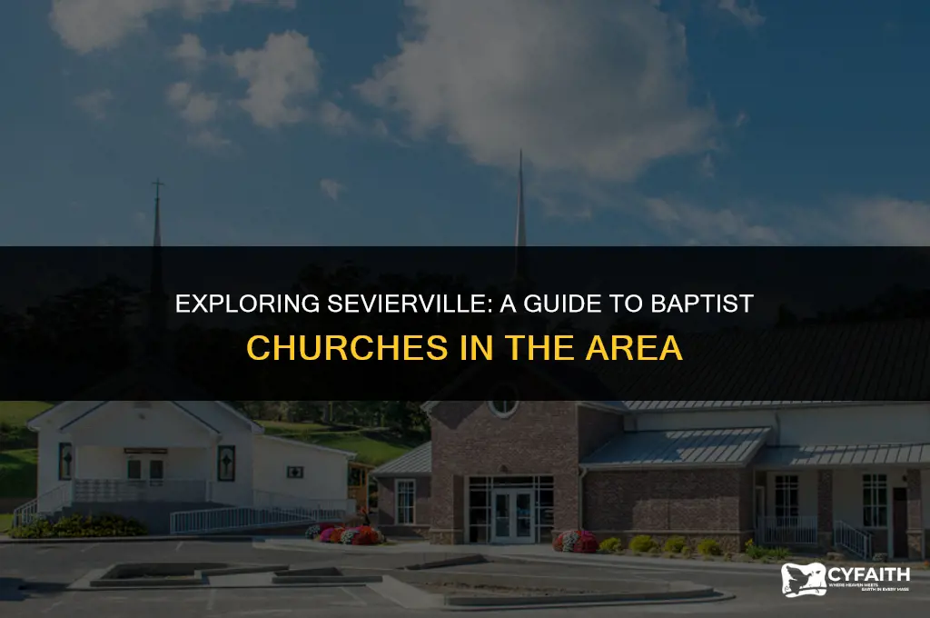 how many baptist church in sevierville tn
