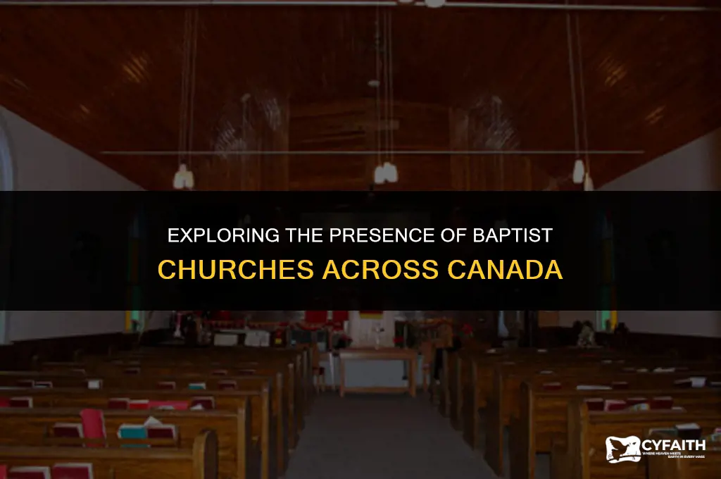 how many baptist churches are in canada