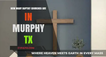 Discovering Faith: Baptist Churches in Murphy, Texas