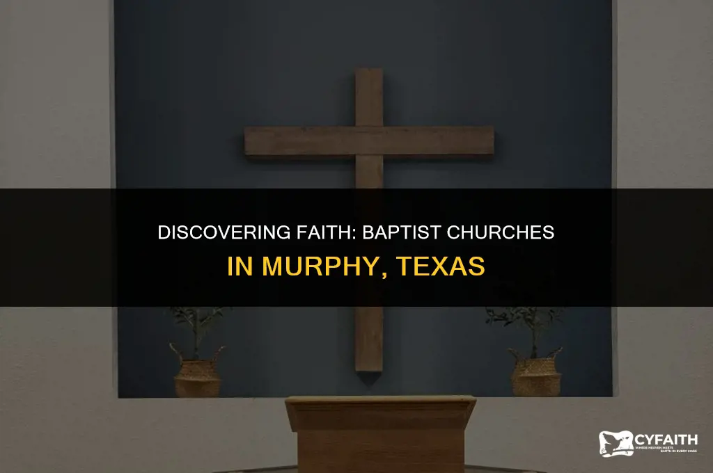 how many baptist churches are in murphy tx