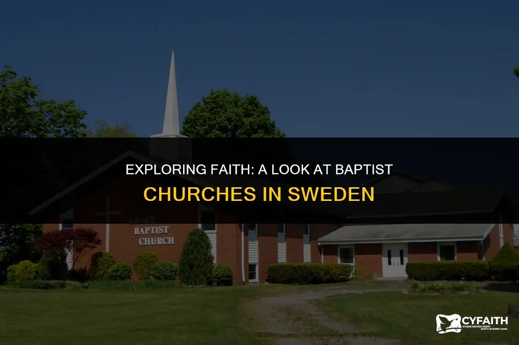 how many baptist churches are in sweden