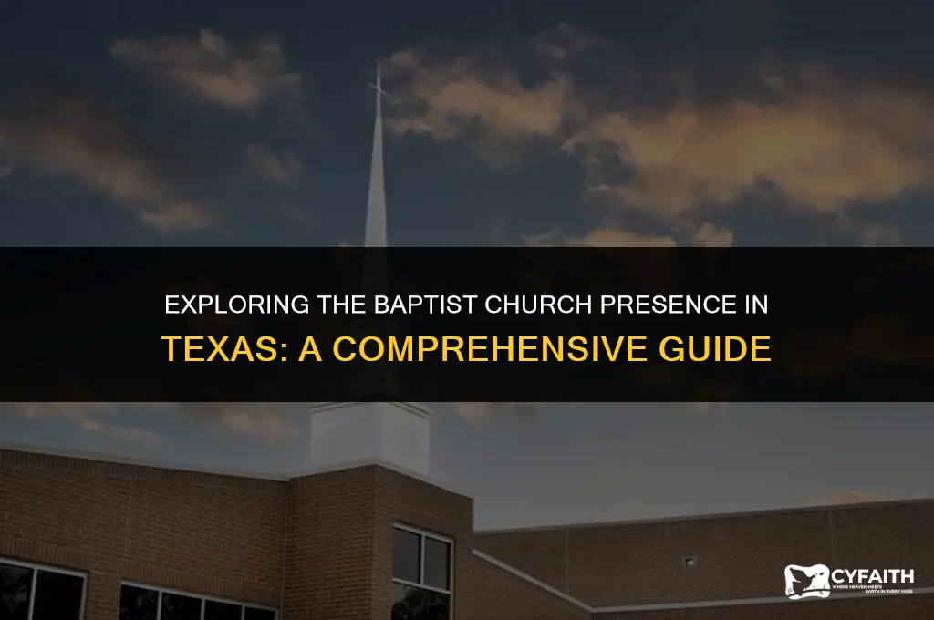 how many baptist churches are in texas