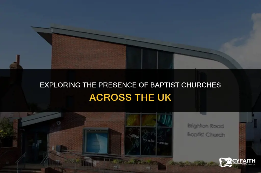how many baptist churches are in the uk