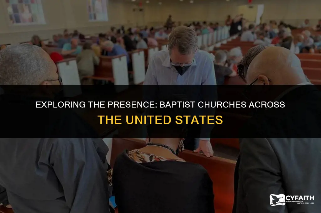 how many baptist churches are in the united states