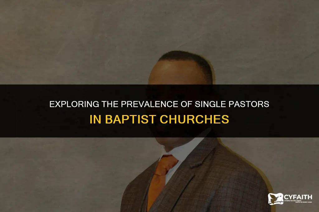 how many baptist churches are staffed by single pastors non-married