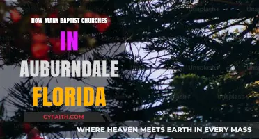 Exploring Faith: Baptist Churches in Auburndale, Florida