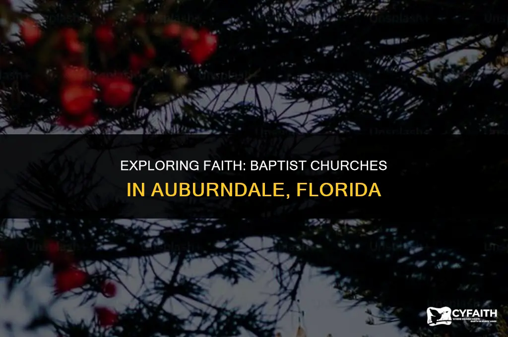 how many baptist churches in auburndale florida