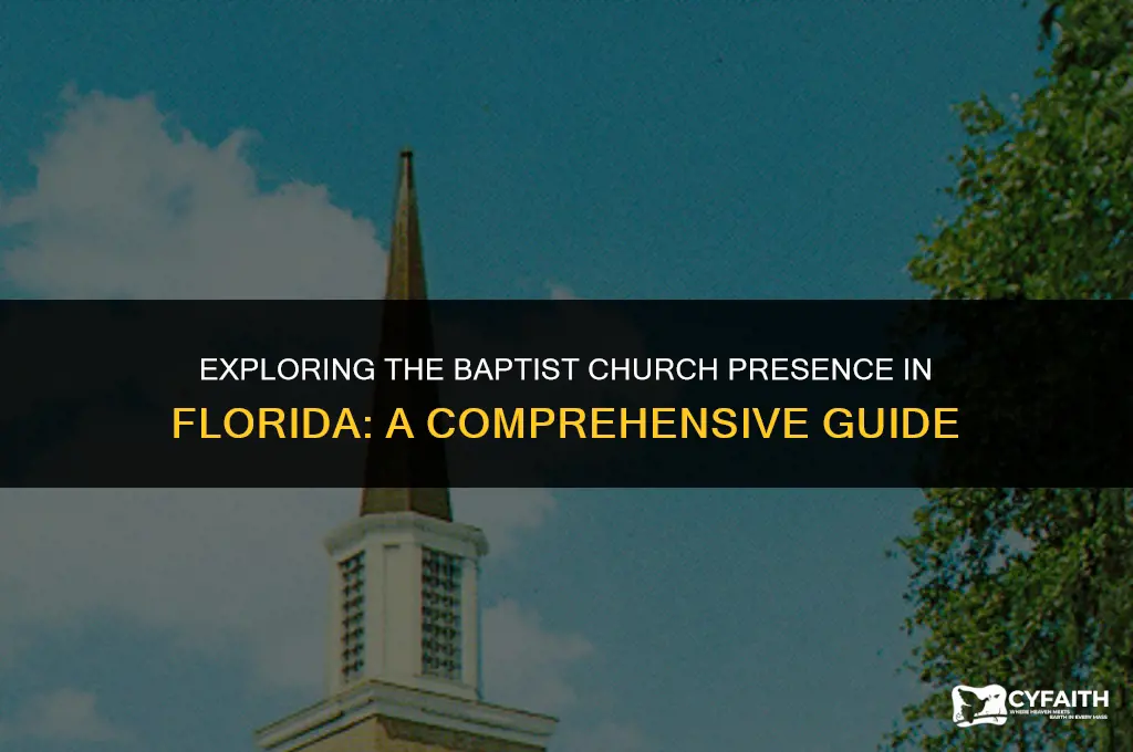 how many baptist churches in florida