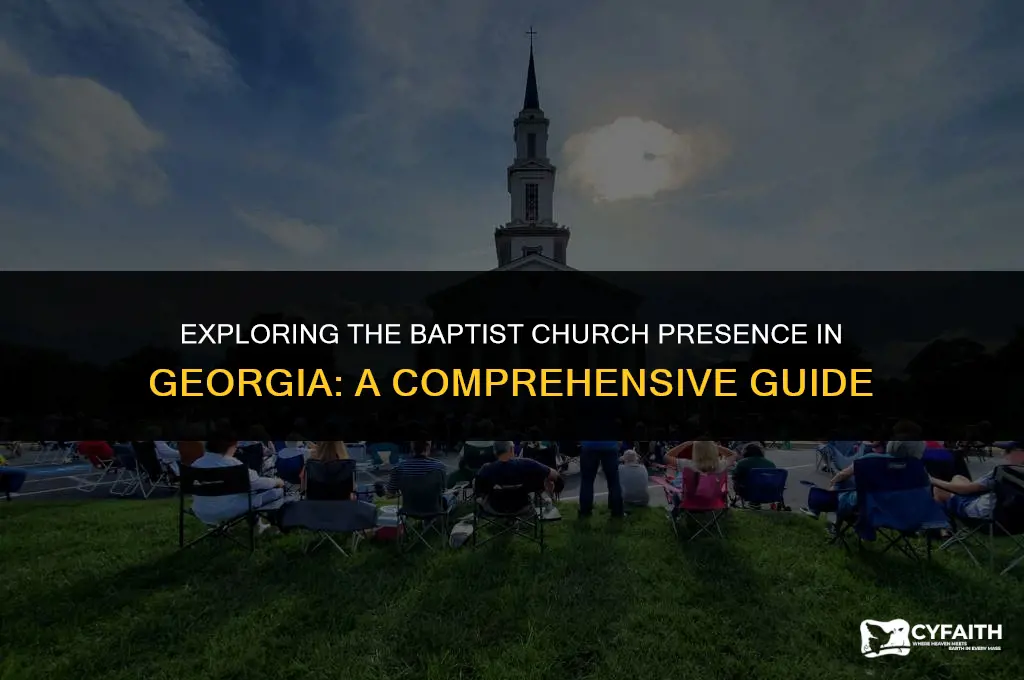 how many baptist churches in georgia