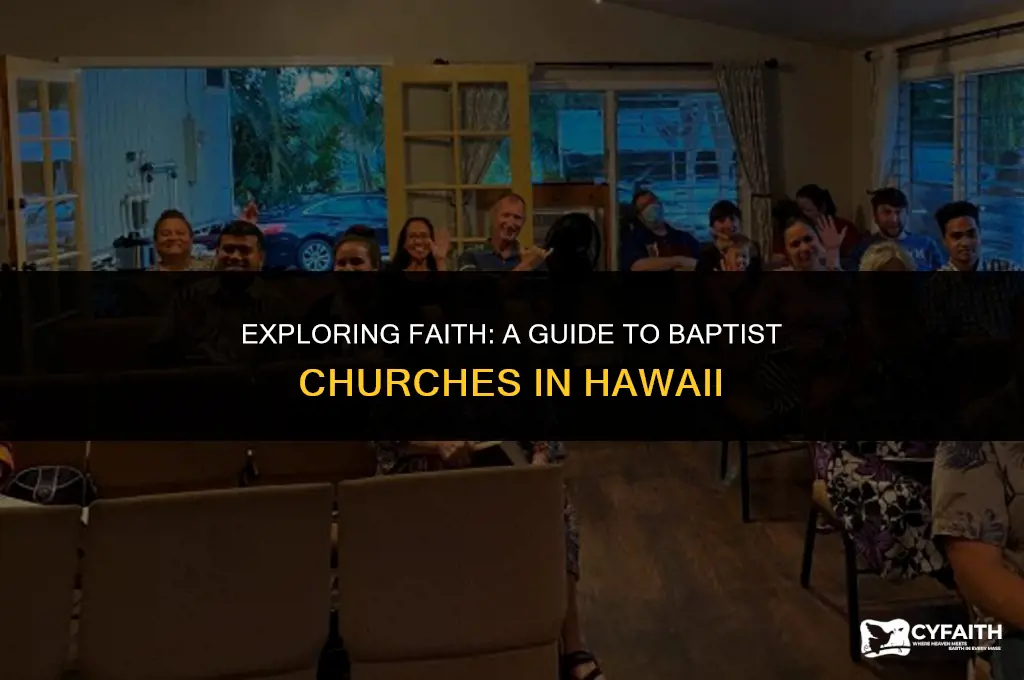 how many baptist churches in hawaii