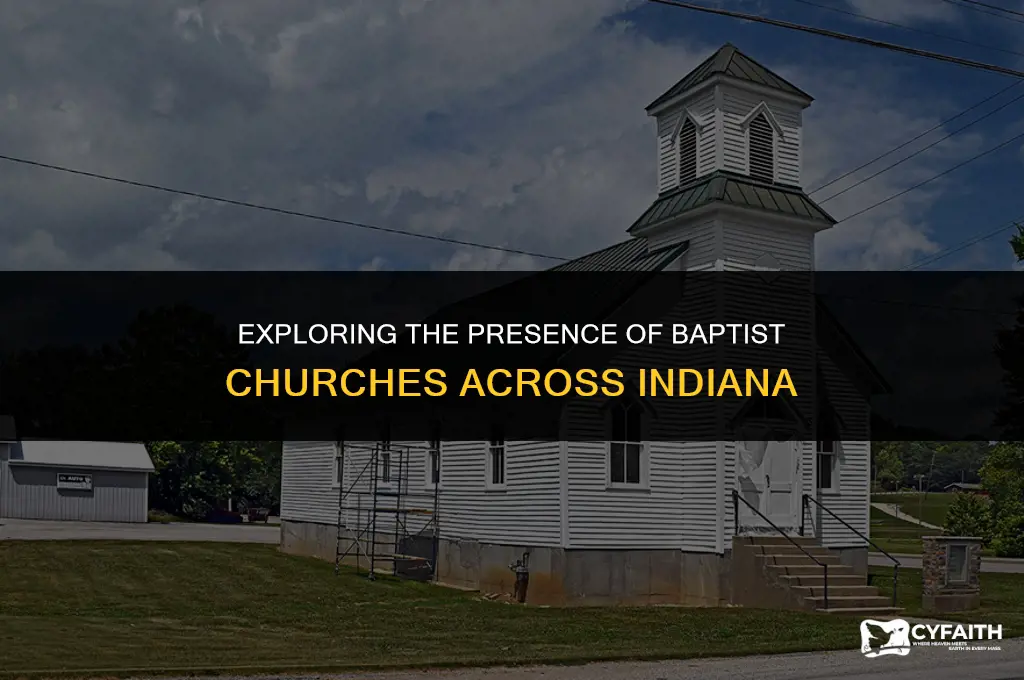 how many baptist churches in indiana