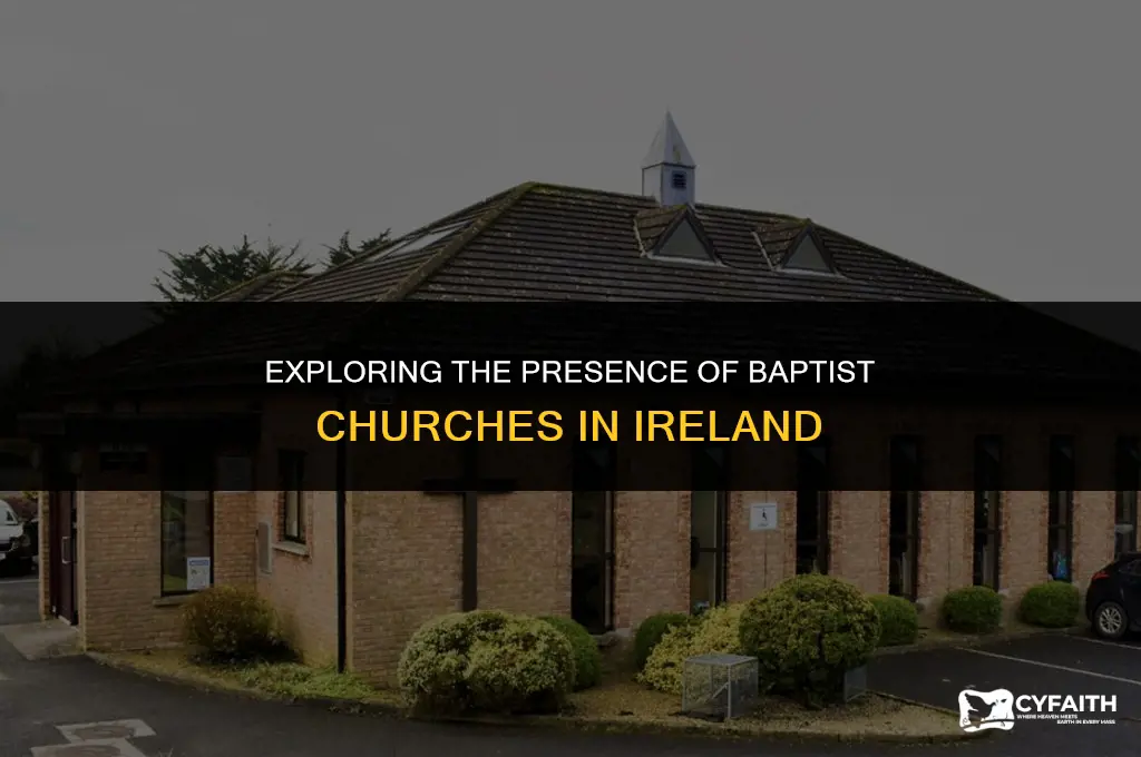 how many baptist churches in ireland