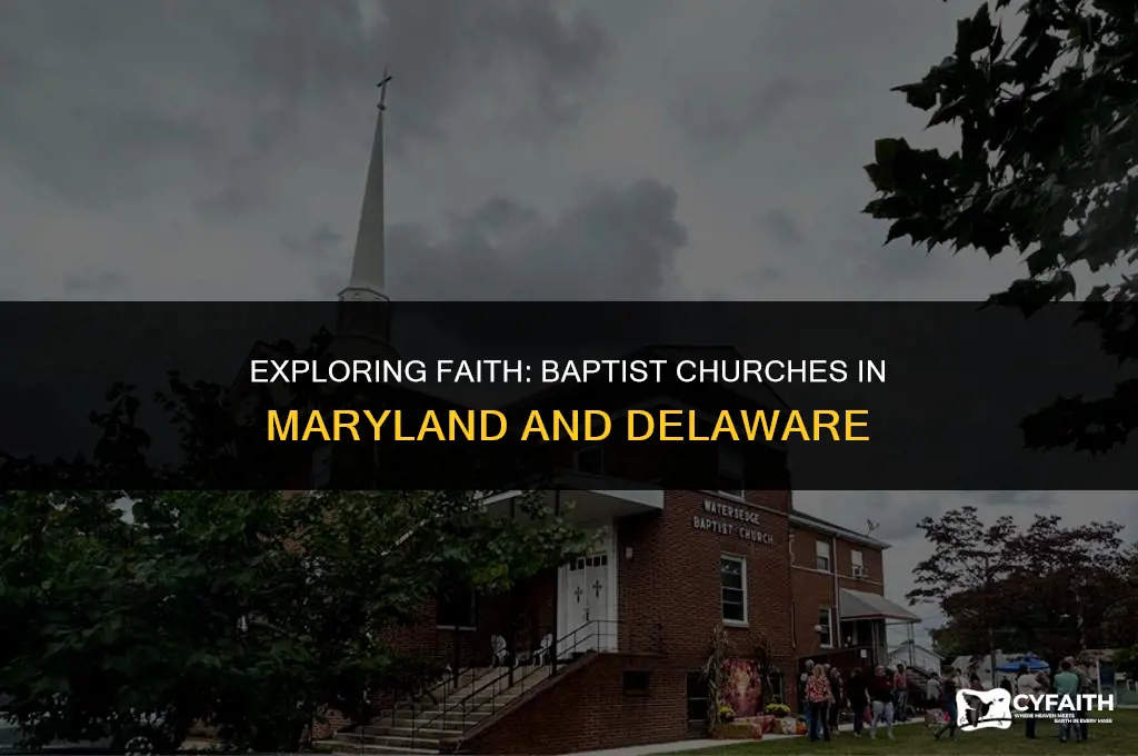 how many baptist churches in maryland-delaware