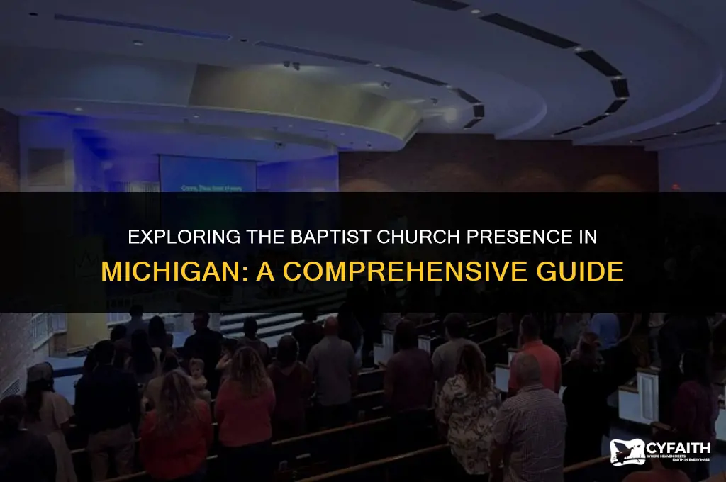how many baptist churches in michigan
