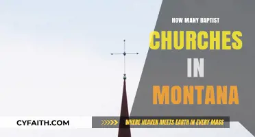 Exploring the Presence of Baptist Churches in Montana