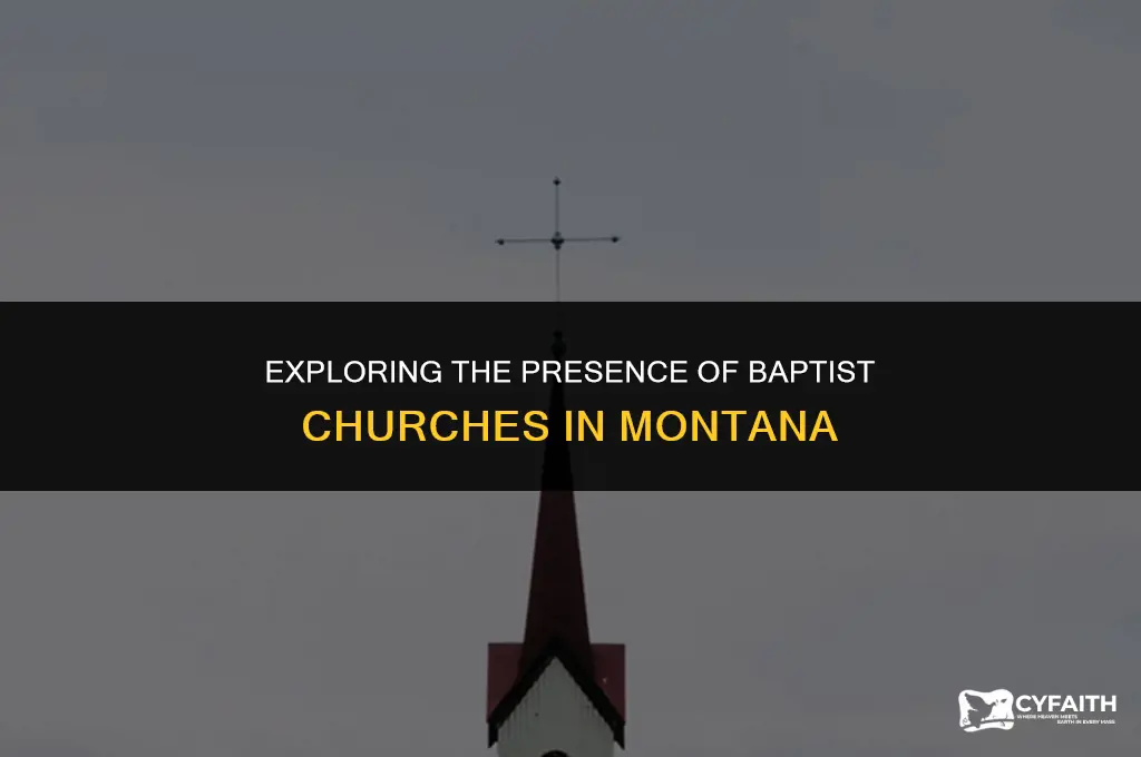 how many baptist churches in montana