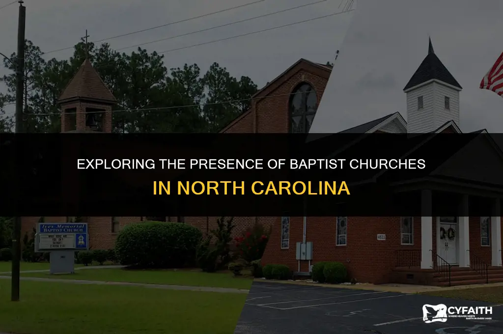 how many baptist churches in nc