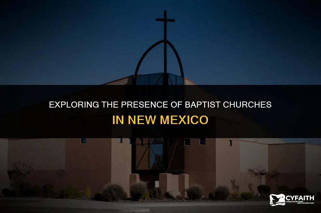 how many baptist churches in new mexico