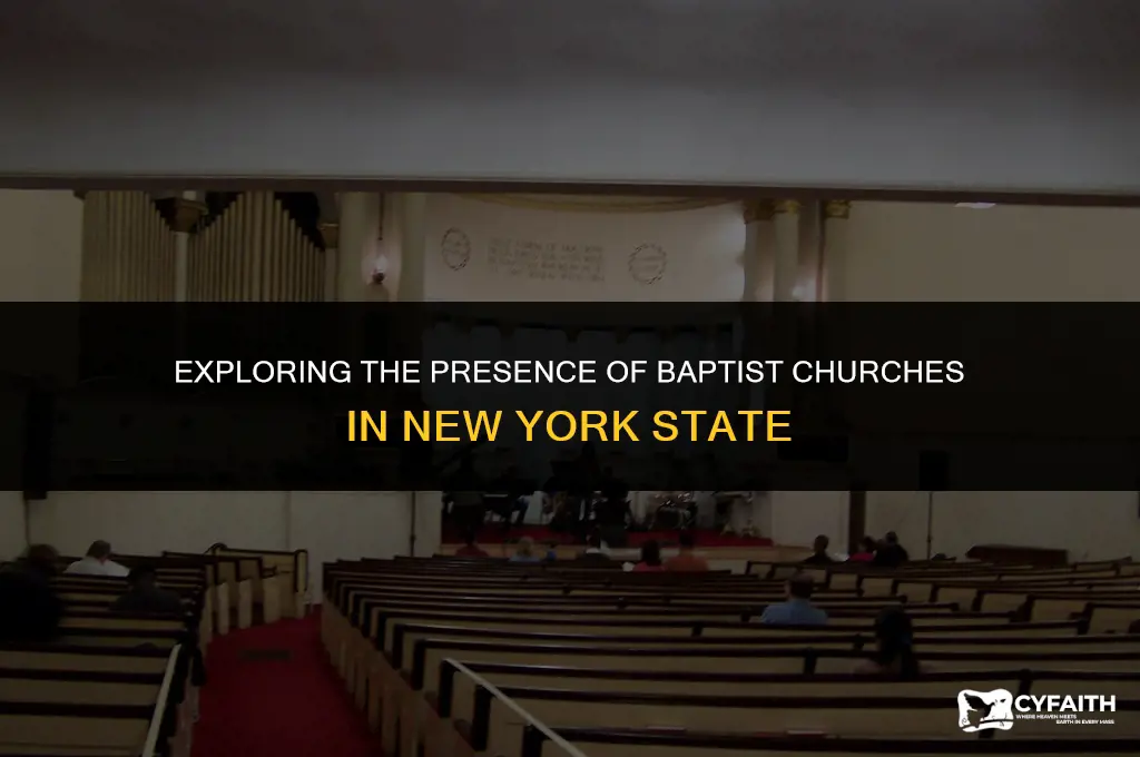 how many baptist churches in new york state