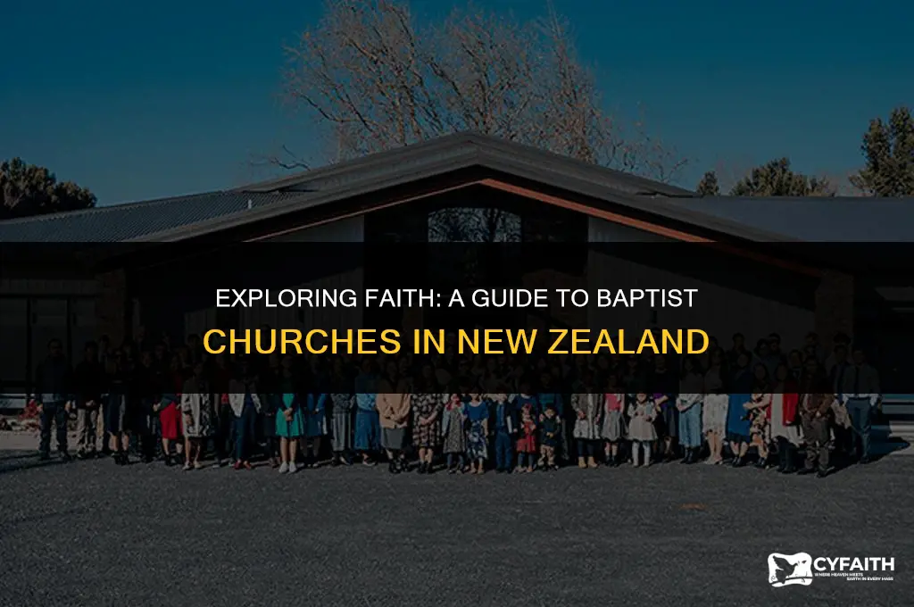 how many baptist churches in new zealand