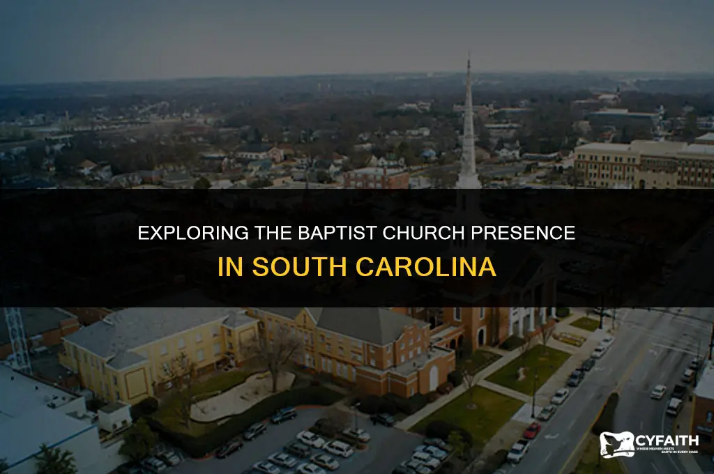 how many baptist churches in south carolina