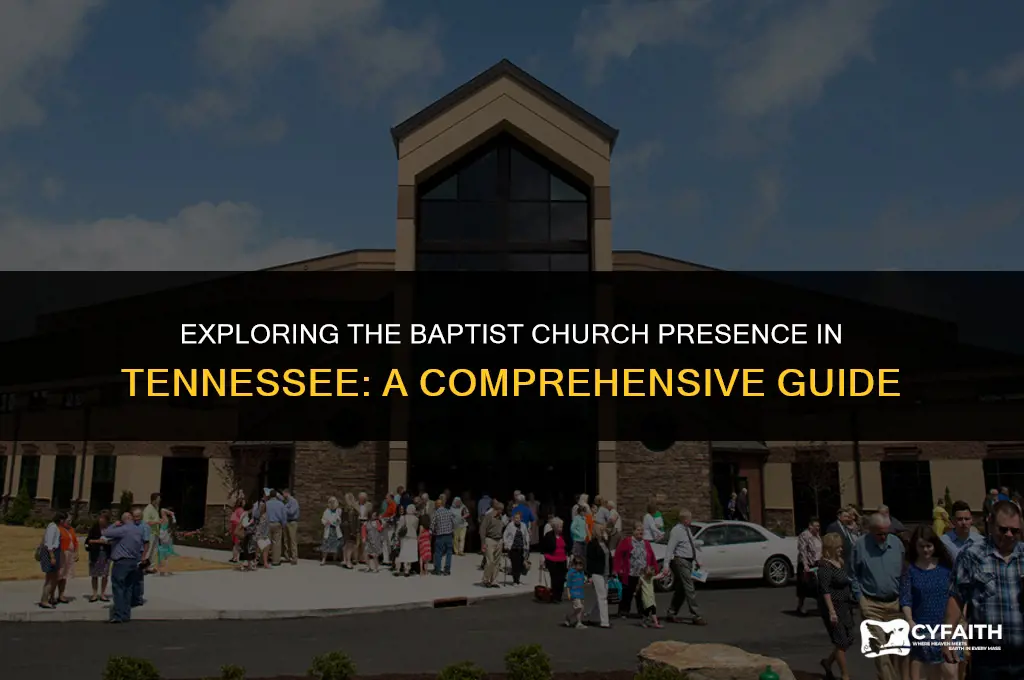 how many baptist churches in tennessee