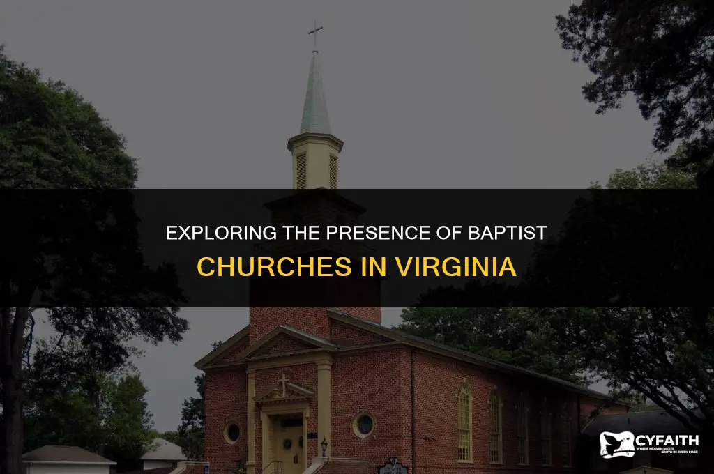 how many baptist churches in virginia
