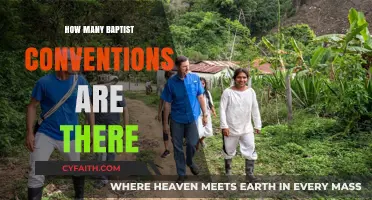 Exploring the Diversity: Baptist Conventions Around the World