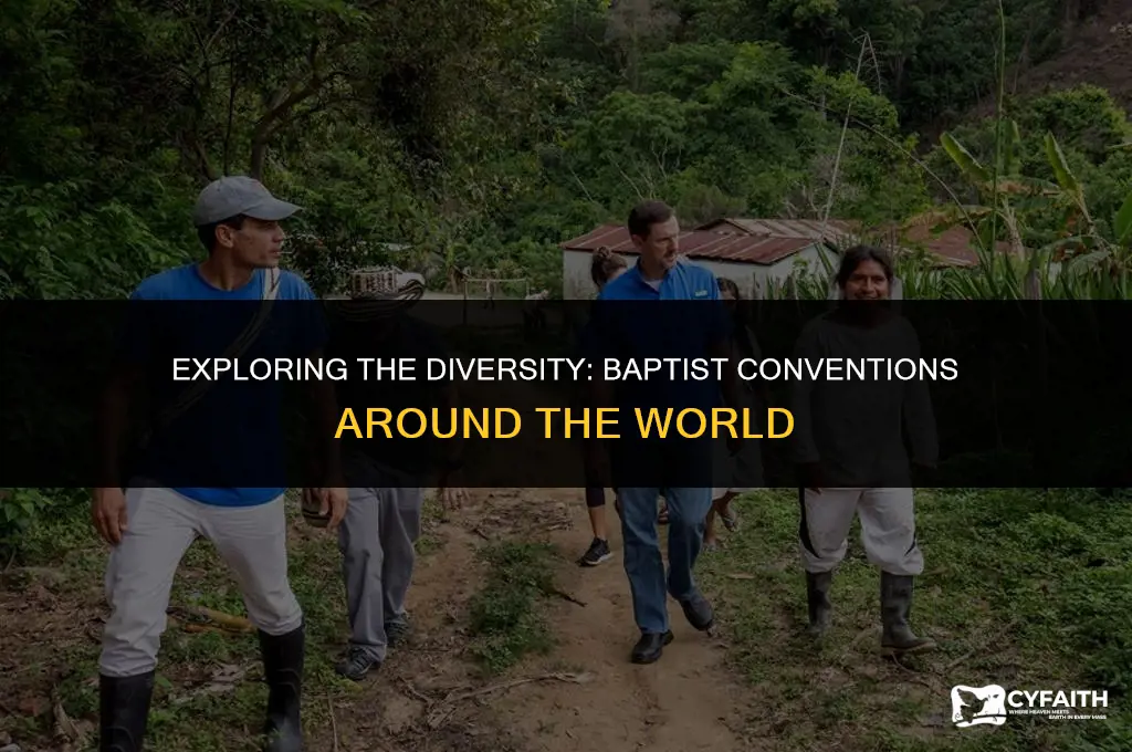 how many baptist conventions are there