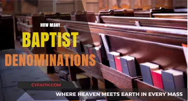 Exploring the Diversity: A Guide to Baptist Denominations