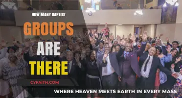 Exploring the Diversity: Baptist Groups Around the World