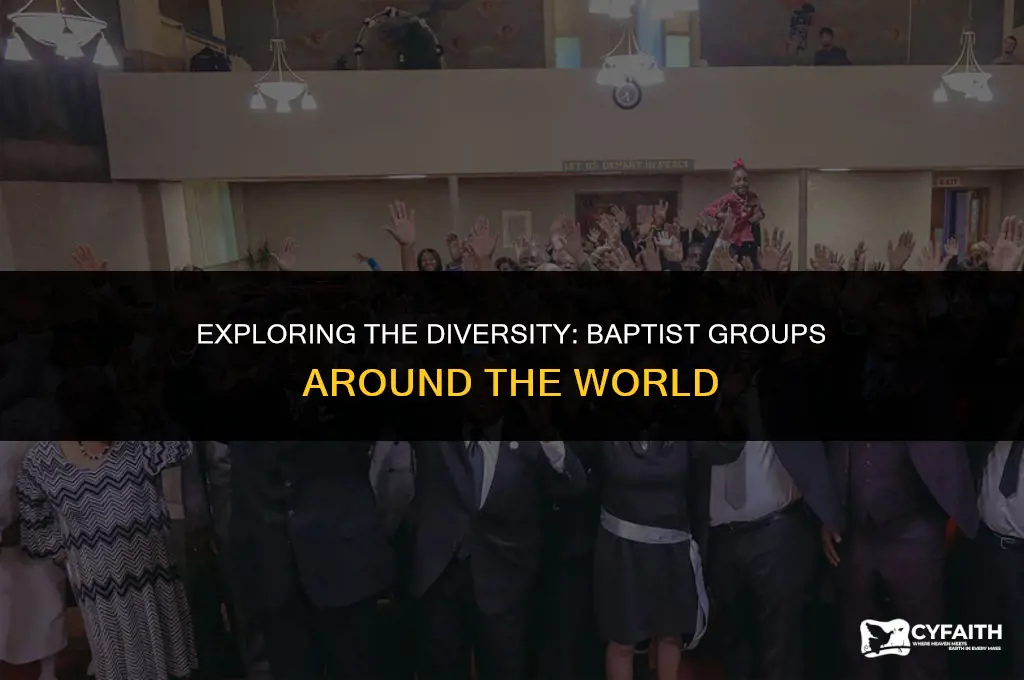 how many baptist groups are there