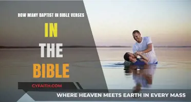 Exploring Baptist Beliefs: A Verse-by-Verse Biblical Analysis